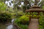 Washington Oaks Historic District